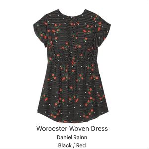 Worcester Woven Dress